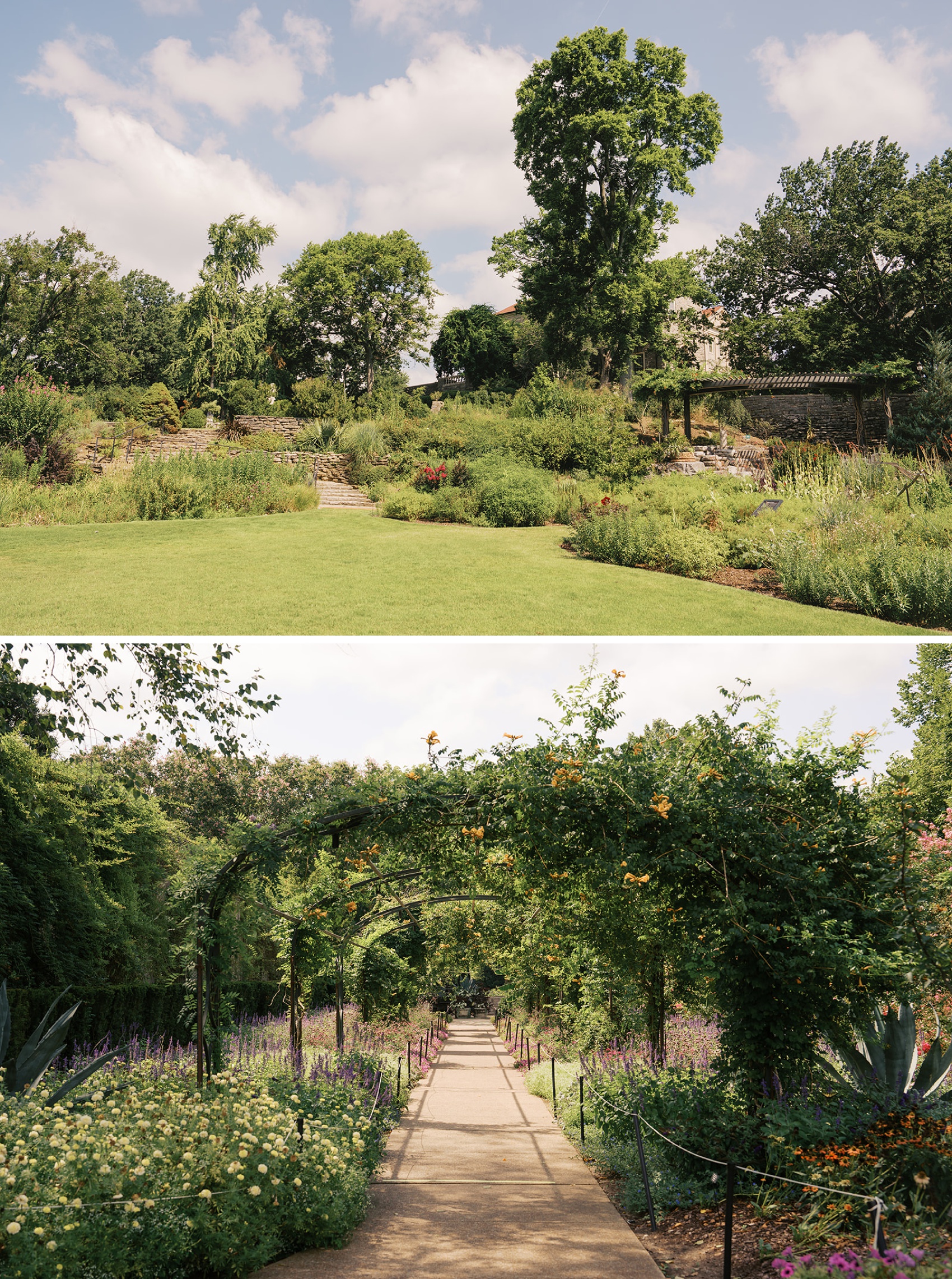 A look down a vine covered archway and lush gardens at the Cheekwood Wedding venue