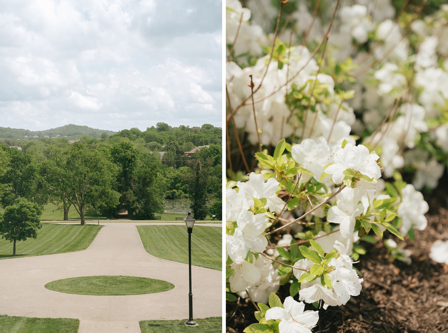 Details of a park and white flowers in a garden