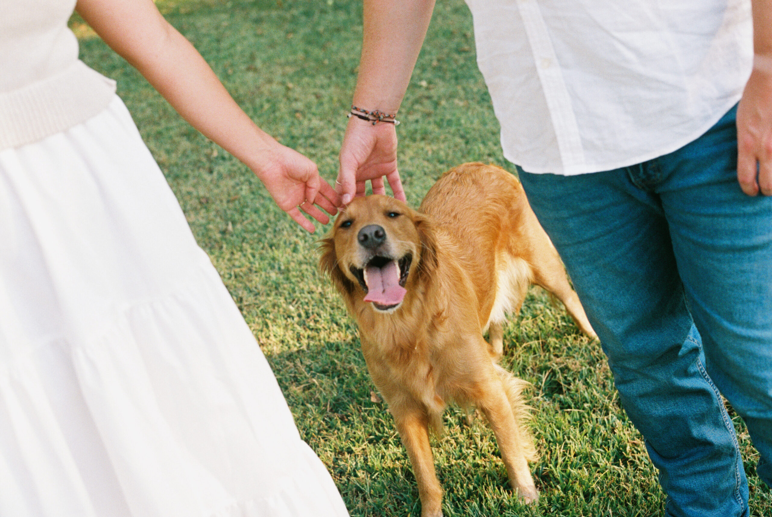 Couple petting their dog on its head at Bells Bend Park in Nashville, TN.