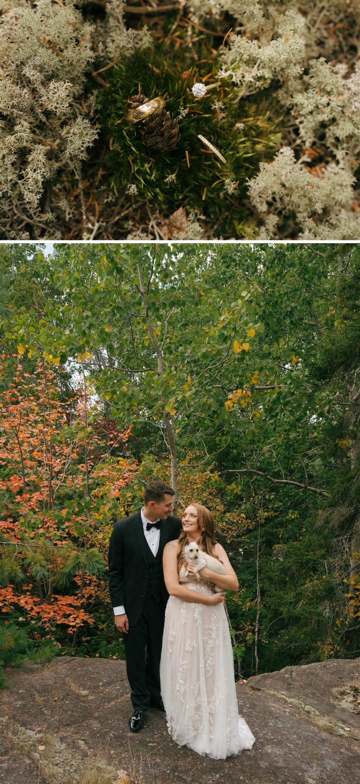 Newlyweds share happy smiles while holding their small dog on a boulder during their Acadia National Park Elopement