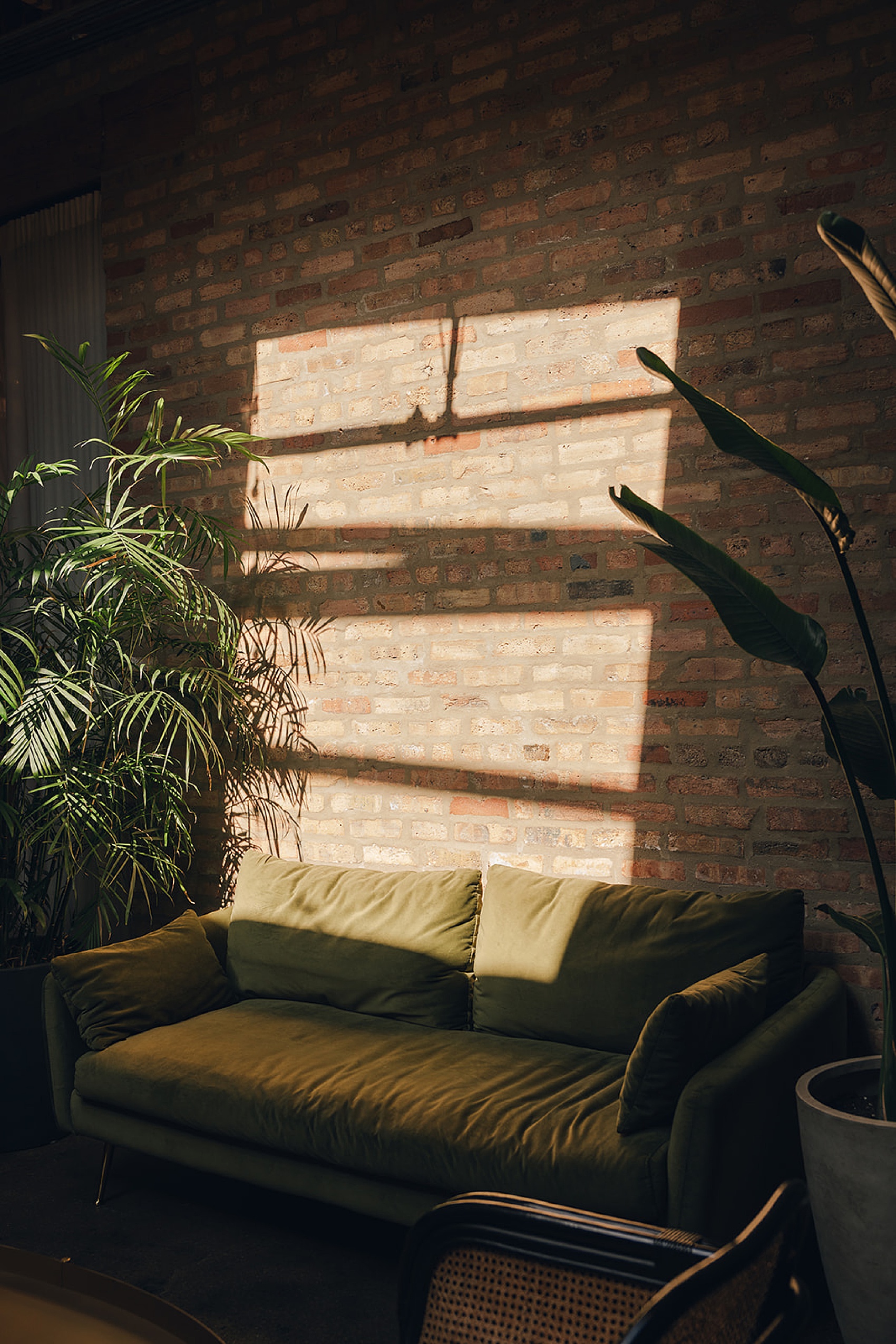 Details of shadows from a window on a brick wall over a green couch