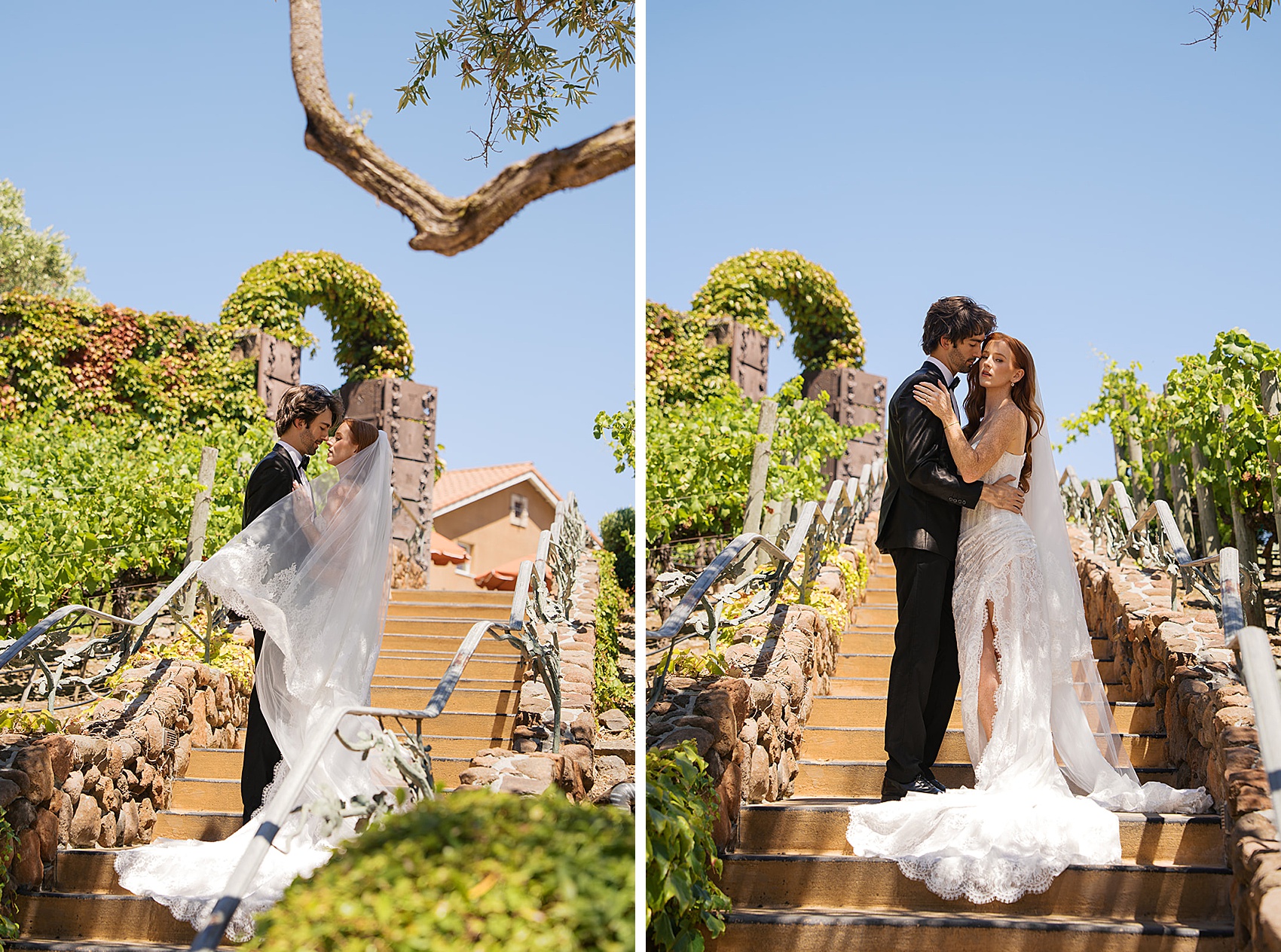 Newlyweds snuggle nose to nose next to nose to cheek on the garden stairs of the Viansa winery wedding venue
