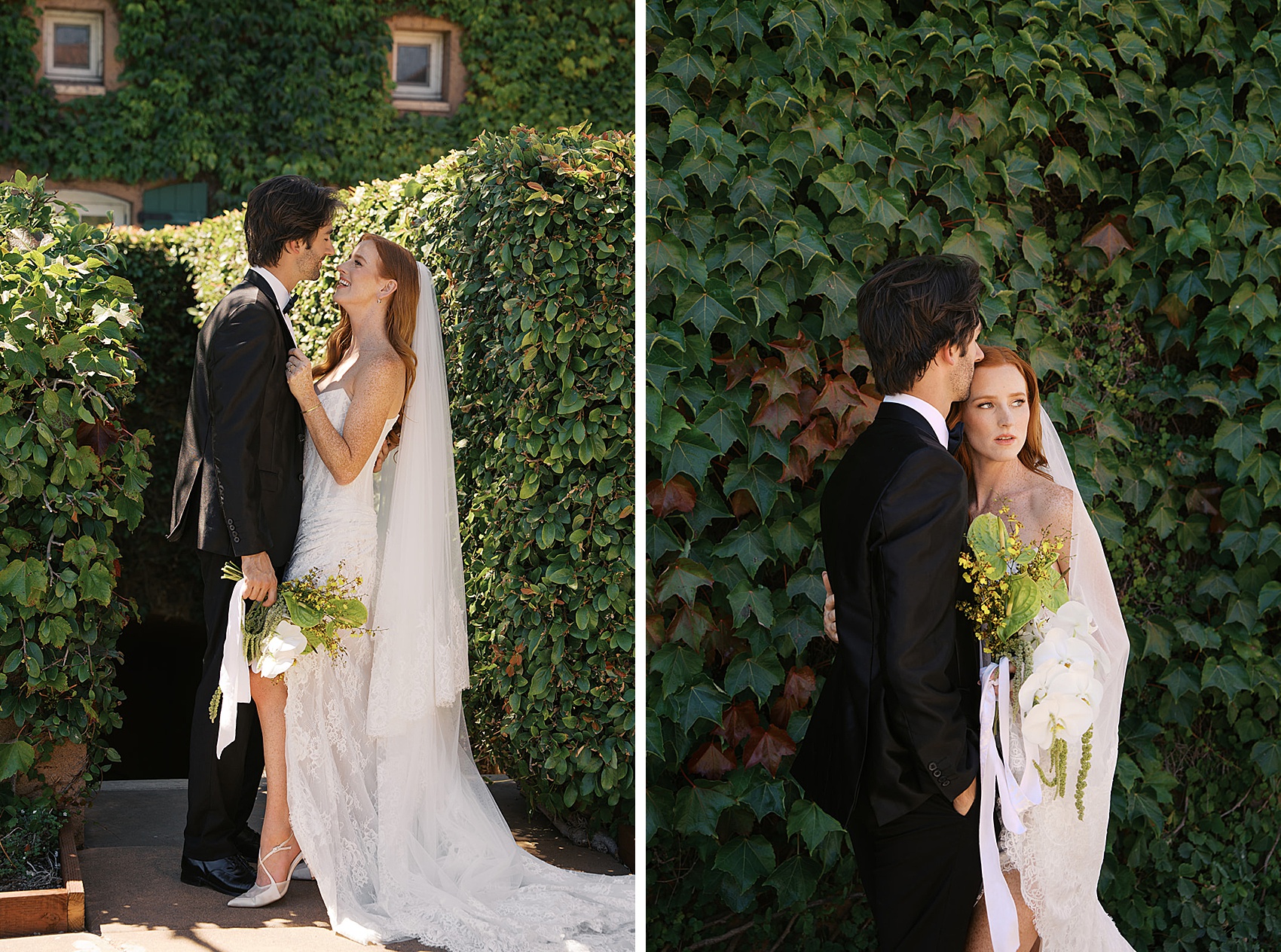 Newlyweds laugh for a kiss next to them snuggling among ivy covered walls during their Viansa winery wedding