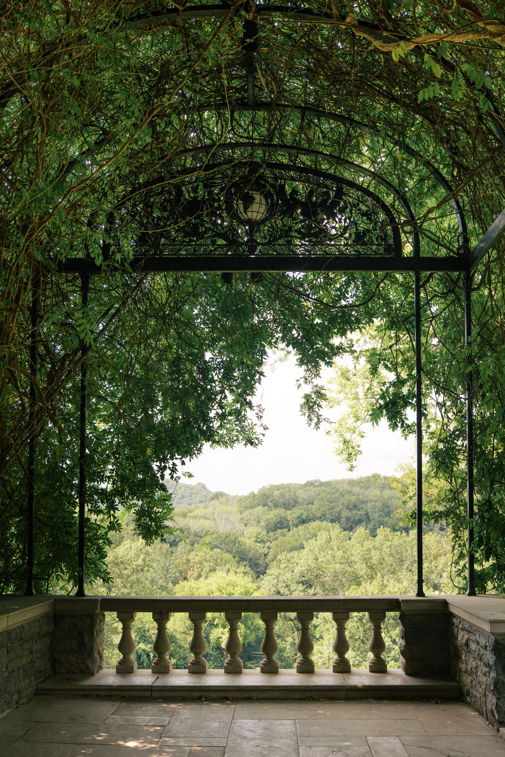 A photo of an wisteria arch at a tennessee wedding venue in nashville. There is greenery and a rot iron arch overlooking a pool.