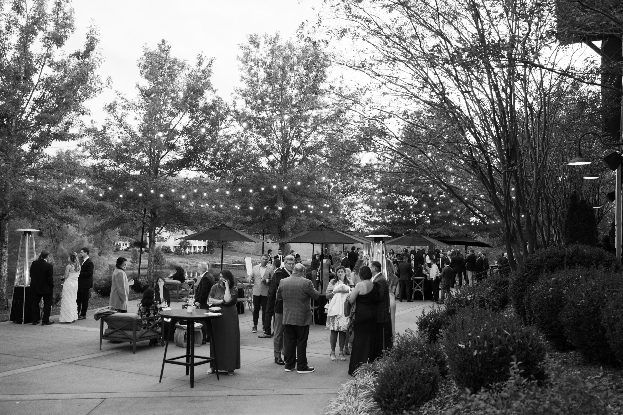 A cocktail hour under string lights in black and white at mint springs farm