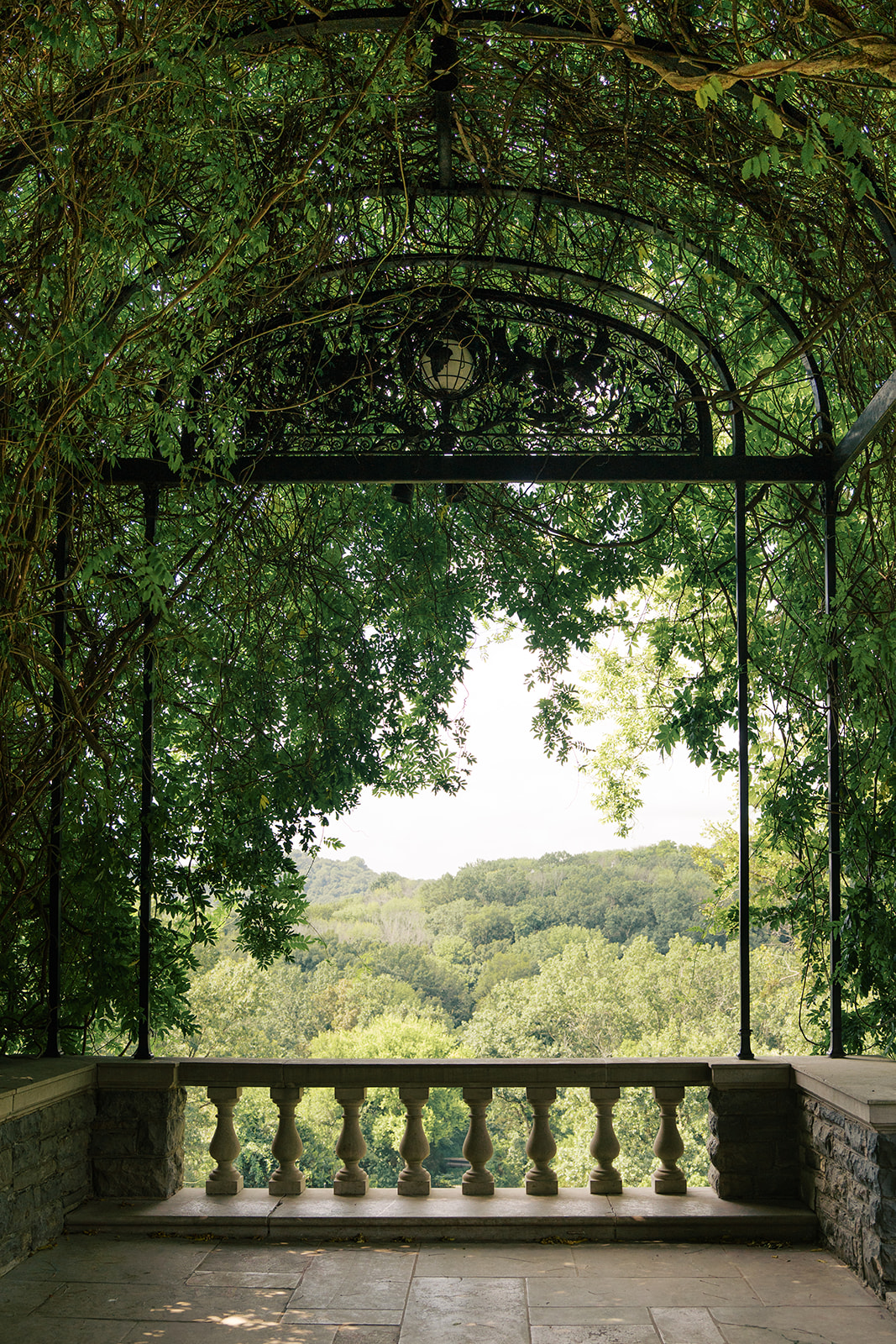 cheekwood estate and gardens wisteria arch in nashville tennessee