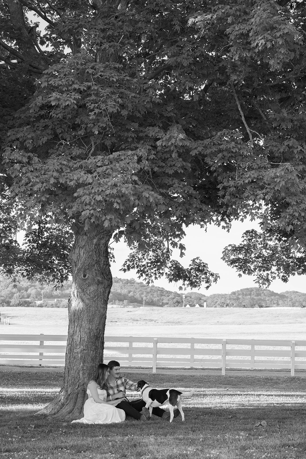 Black and white photo of a couple sitting under a tree as they play with their dog.