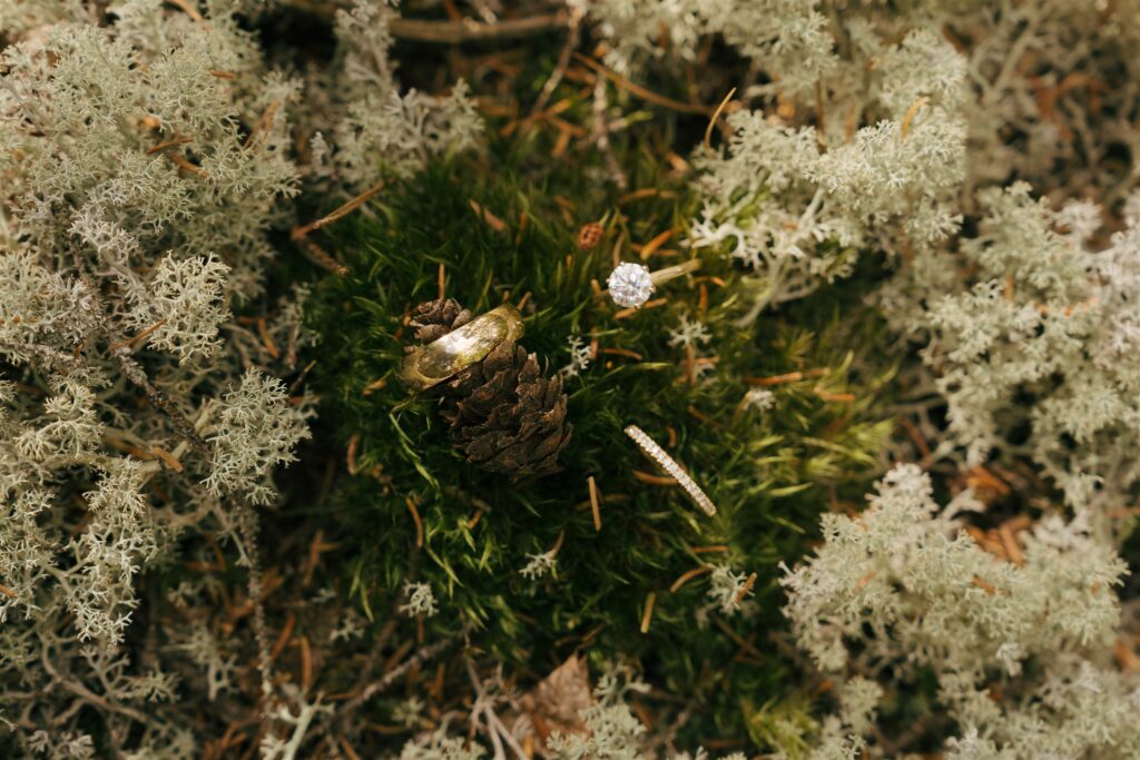 Acadia national park elopement